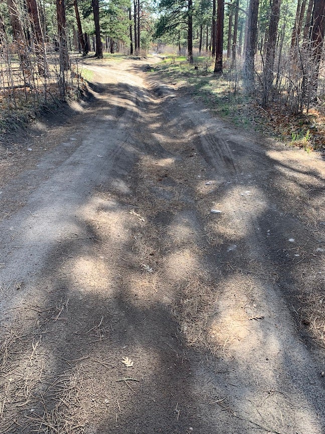 Camper submitted image from Pajarito Springs (Dispersed) - 5