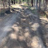 Review photo of Pajarito Springs (Dispersed) by Ray & Terri F., May 10, 2021