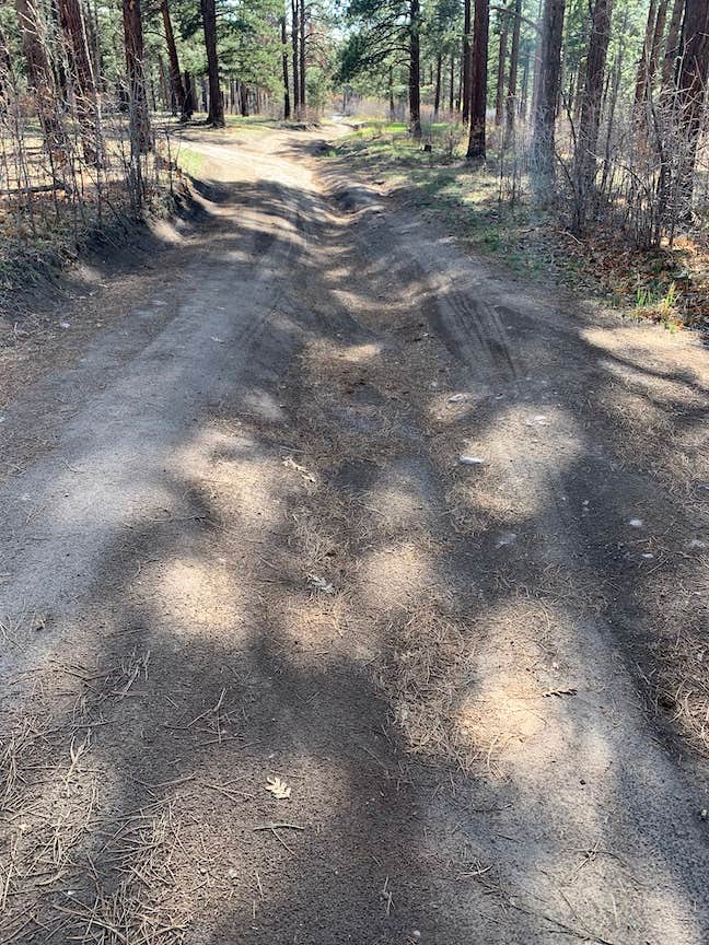 Camper submitted image from Pajarito Springs (Dispersed) - 5