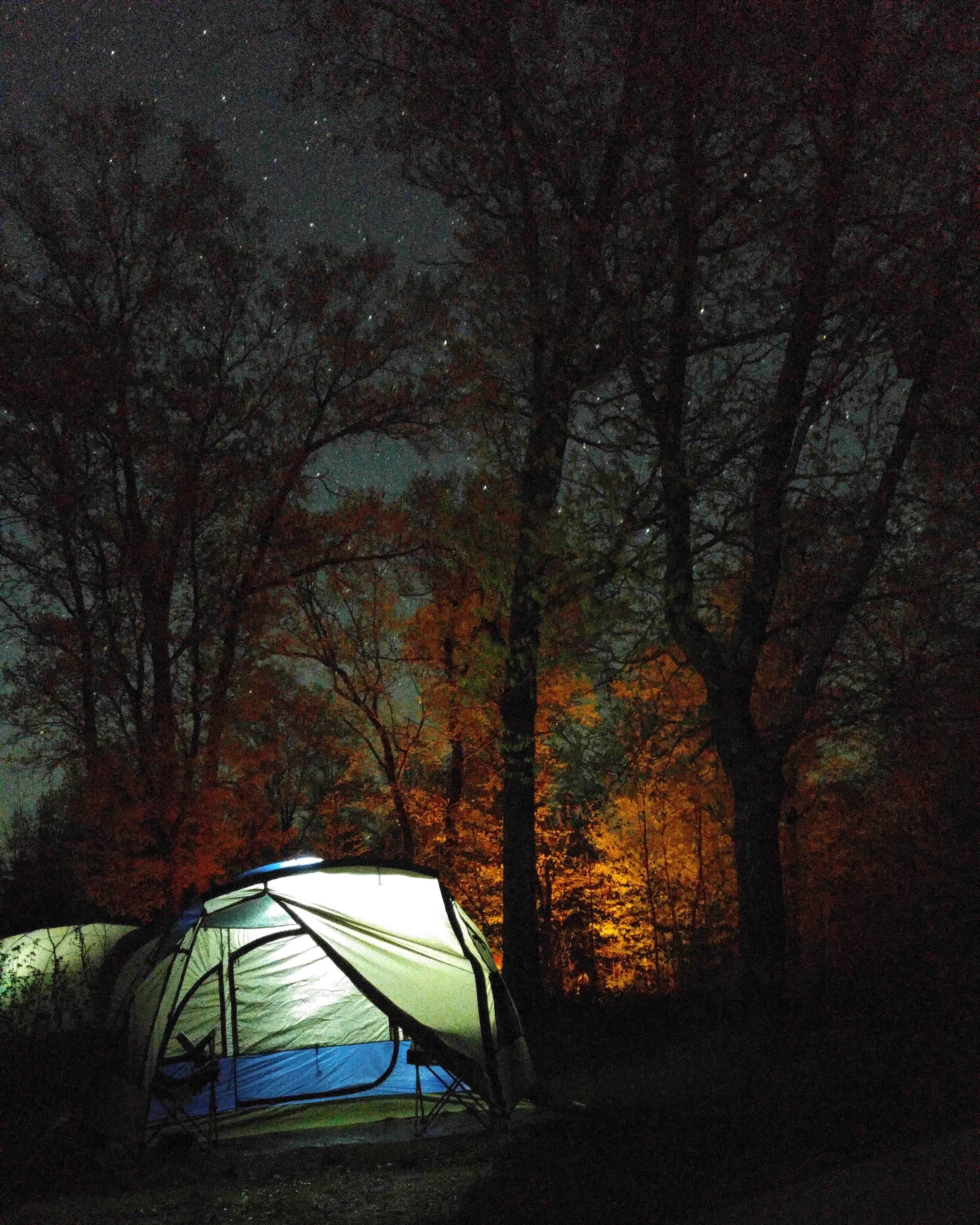 Old Logging Trail St. Croix State Park Camping Danbury MN