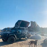 Review photo of Mojave Cross Dispersed — Mojave National Preserve by Ashley , May 10, 2021