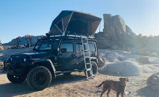 Ashley's photo of camping with pets at Mojave Cross Dispersed — Mojave National Preserve near Searchlight, NV