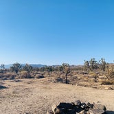 Review photo of Mojave Cross Dispersed — Mojave National Preserve by Ashley , May 10, 2021