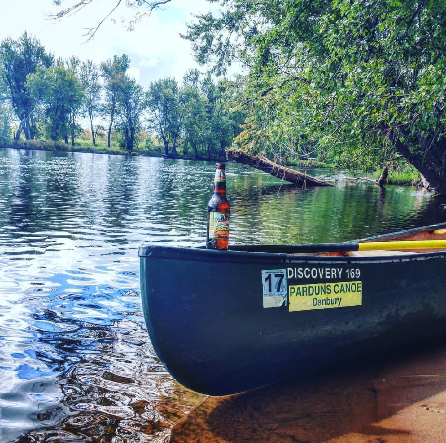 Camper submitted image from Old Logging Trail — St. Croix State Park - 4