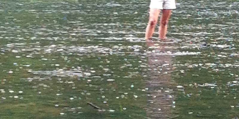 Camper submitted image from Riverside Campground — Watoga State Park