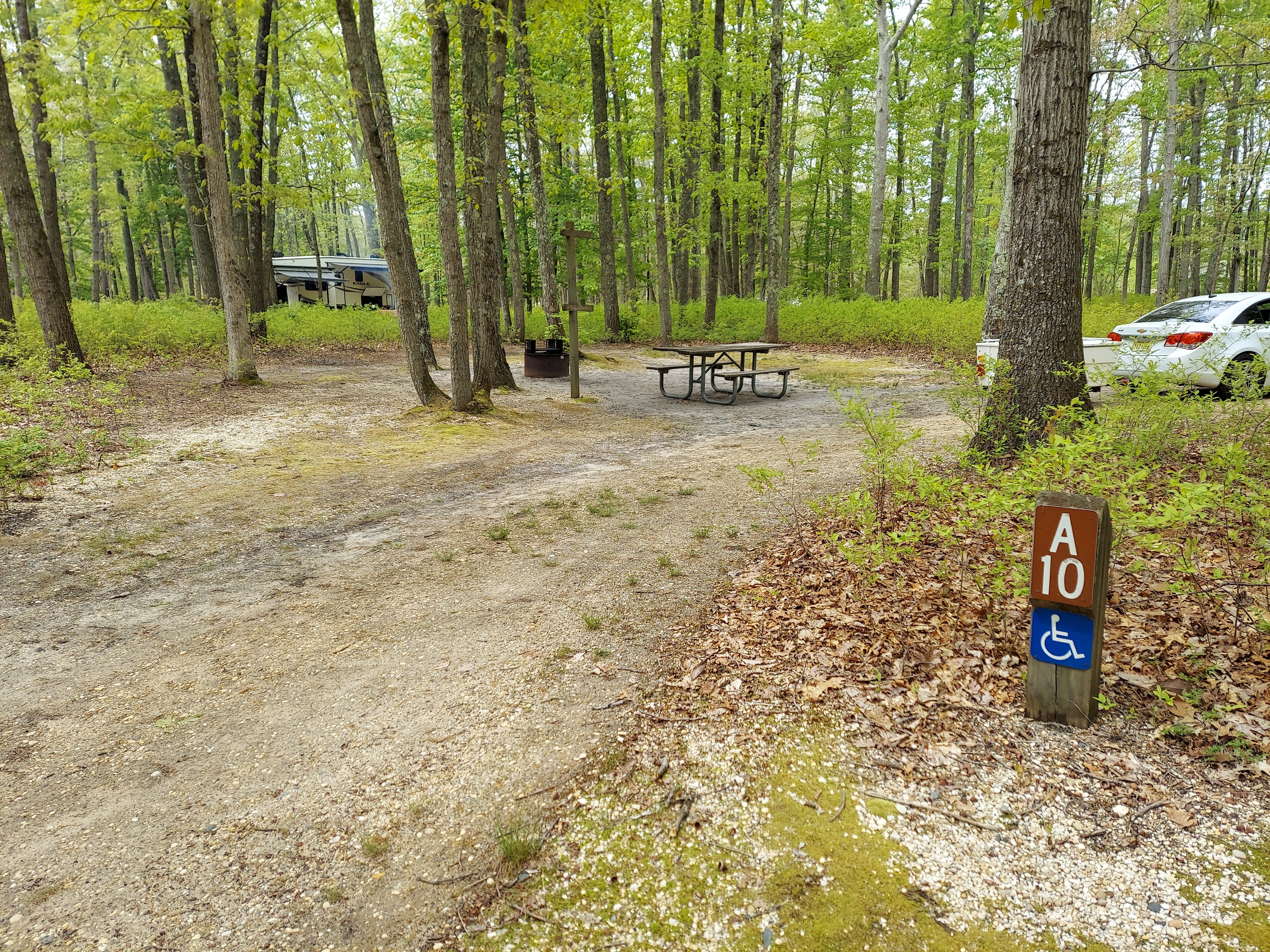 Camper submitted image from Turkey Swamp Park - 5