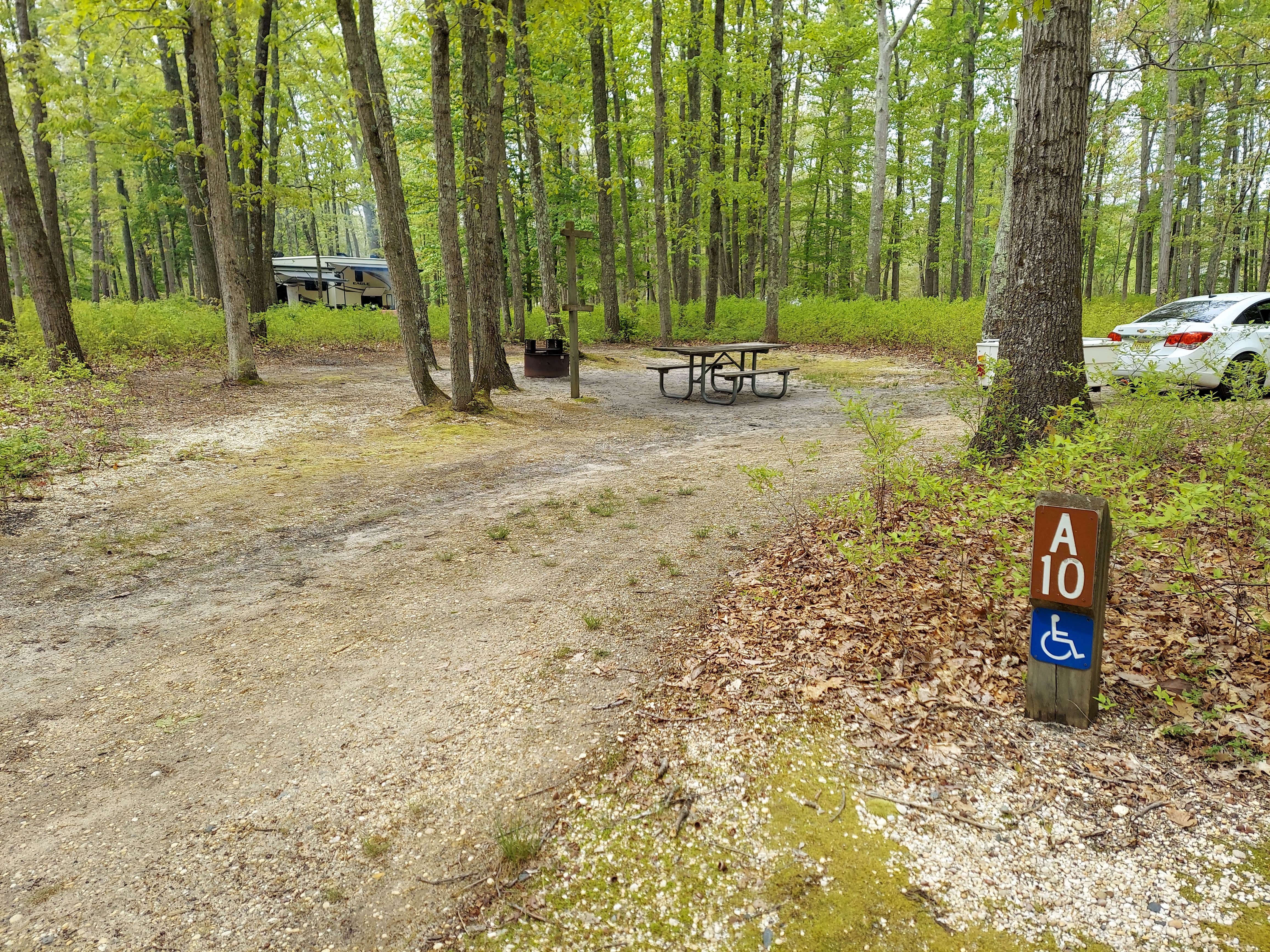 Camper submitted image from Turkey Swamp Park - 4