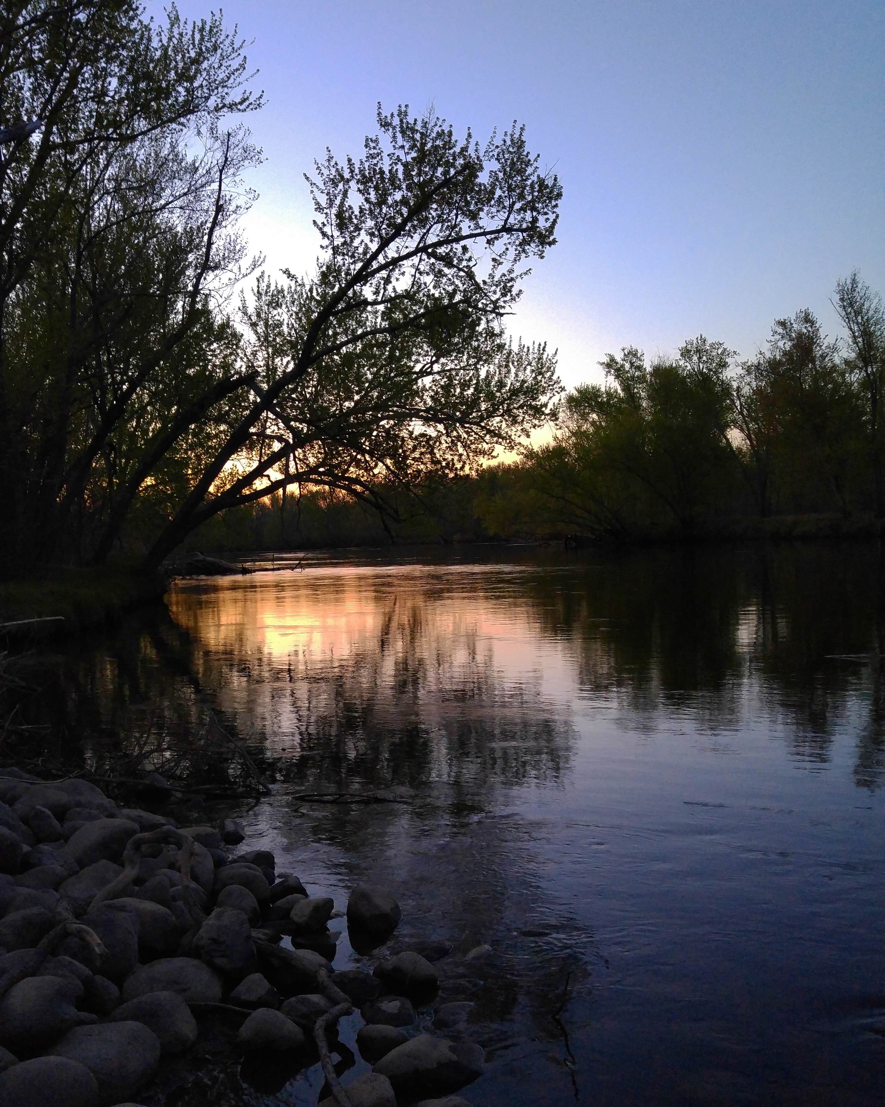 Camper submitted image from Old Logging Trail — St. Croix State Park - 3