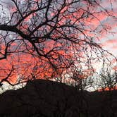 Review photo of Kartchner Caverns State Park Campground by Mary B., May 10, 2021