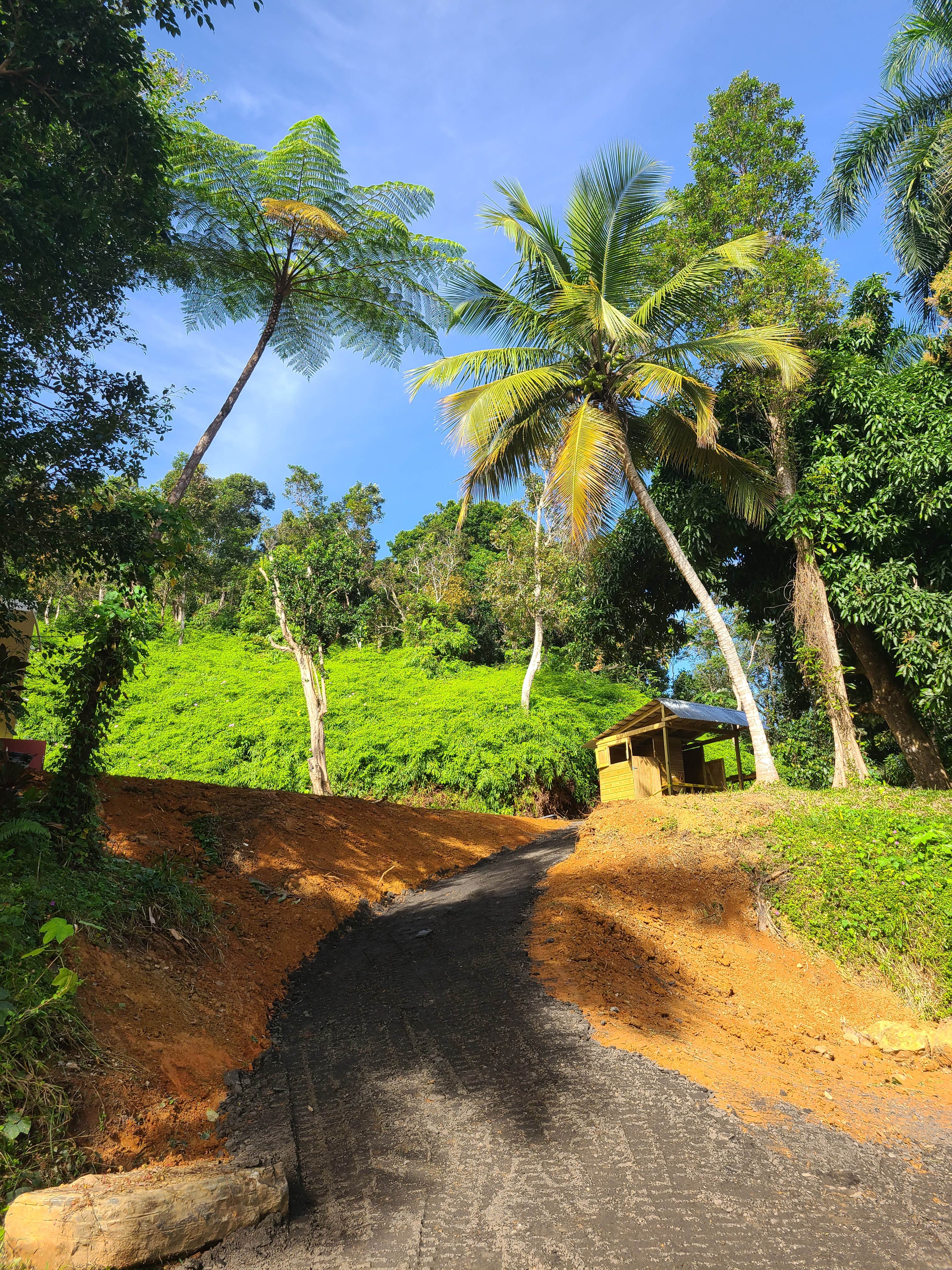 Camper-submitted photo at Hacienda Monte Rey in Puerto Rico