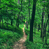 Review photo of Great River Bluffs State Park Campground by Tony J., June 2, 2018