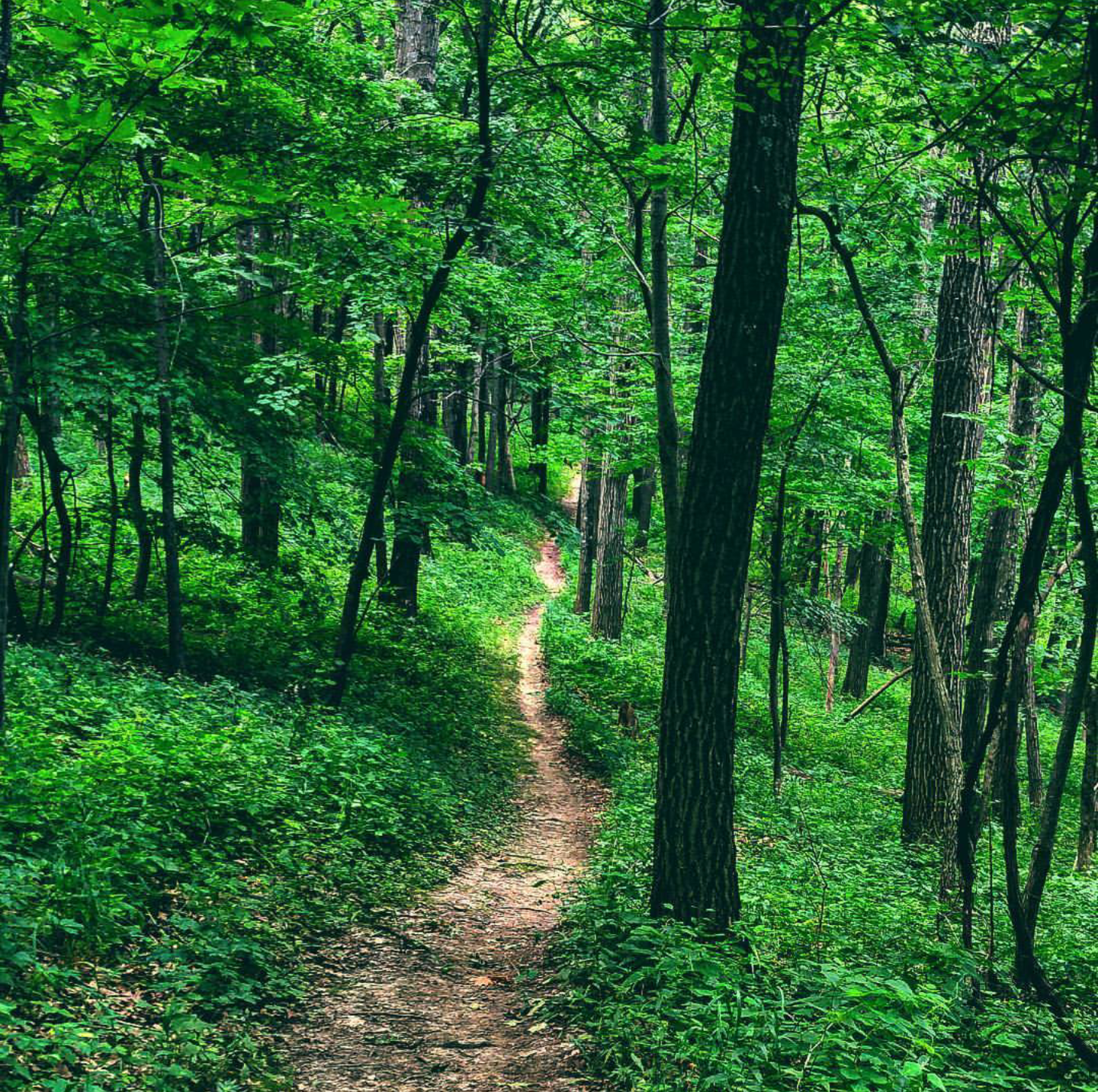 Camper submitted image from Great River Bluffs State Park Campground - 2