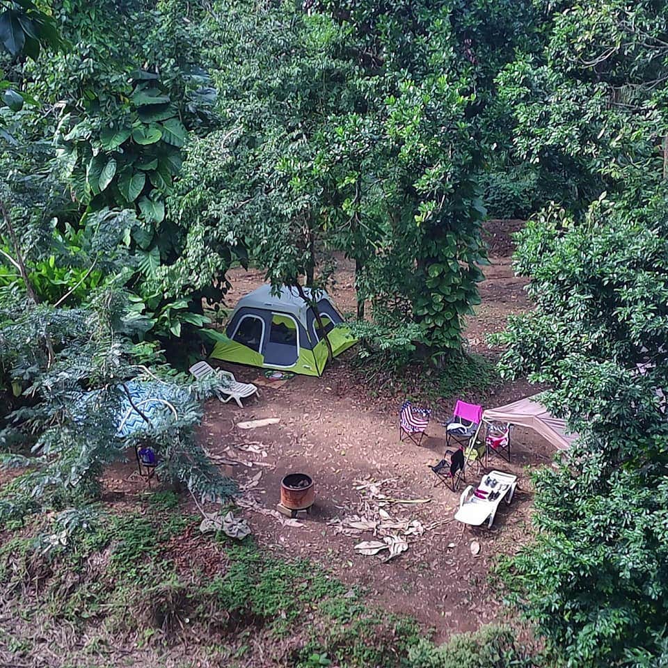 Gerardo M.'s photo at Hacienda Monte Rey in Puerto Rico