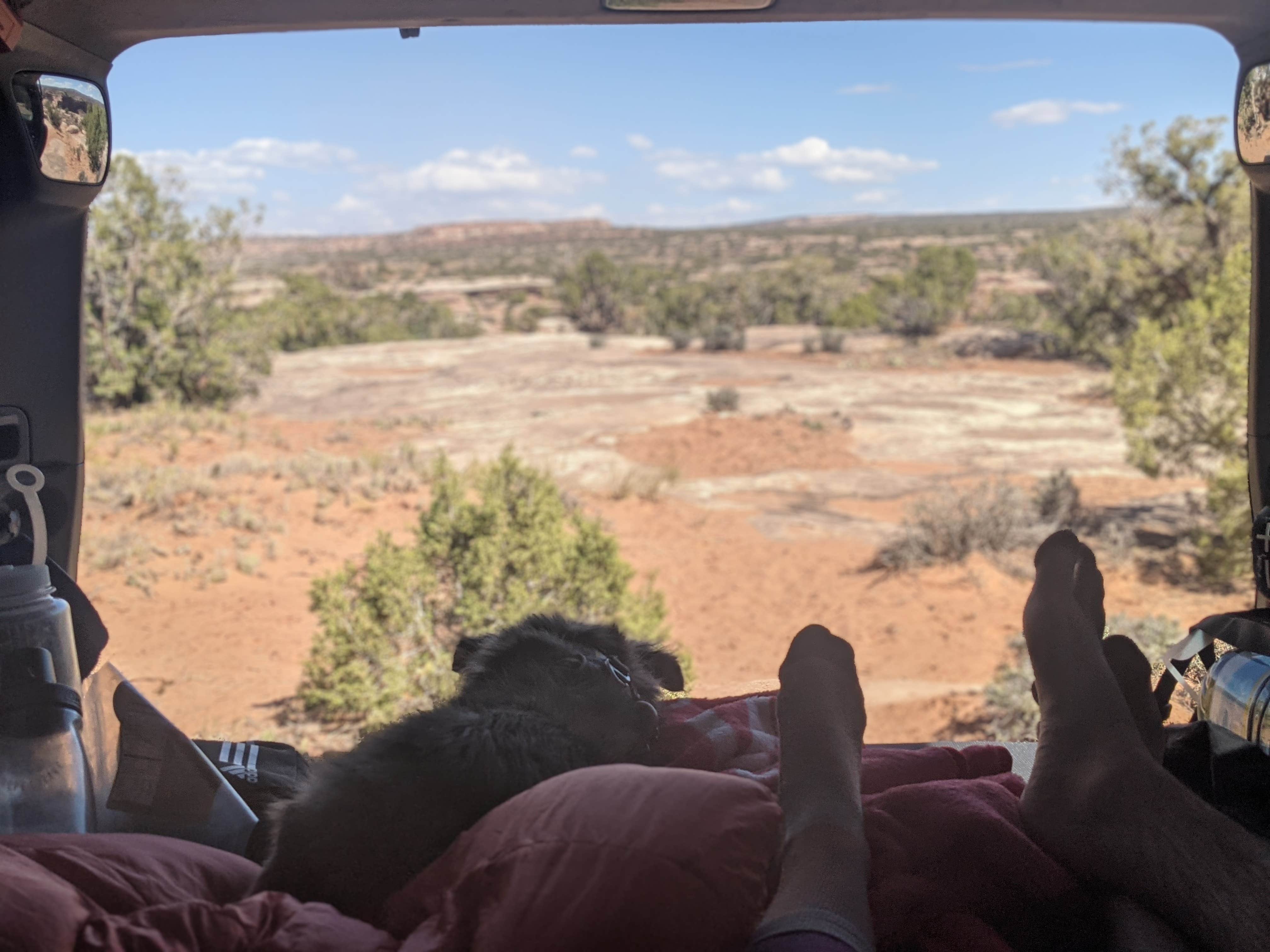 View All