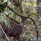 Review photo of Oxbow Regional Park by Kevin M., May 10, 2021