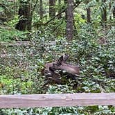 Review photo of Oxbow Regional Park by Kevin M., May 10, 2021