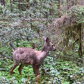 Review photo of Oxbow Regional Park by Kevin M., May 10, 2021