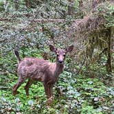 Review photo of Oxbow Regional Park by Kevin M., May 10, 2021