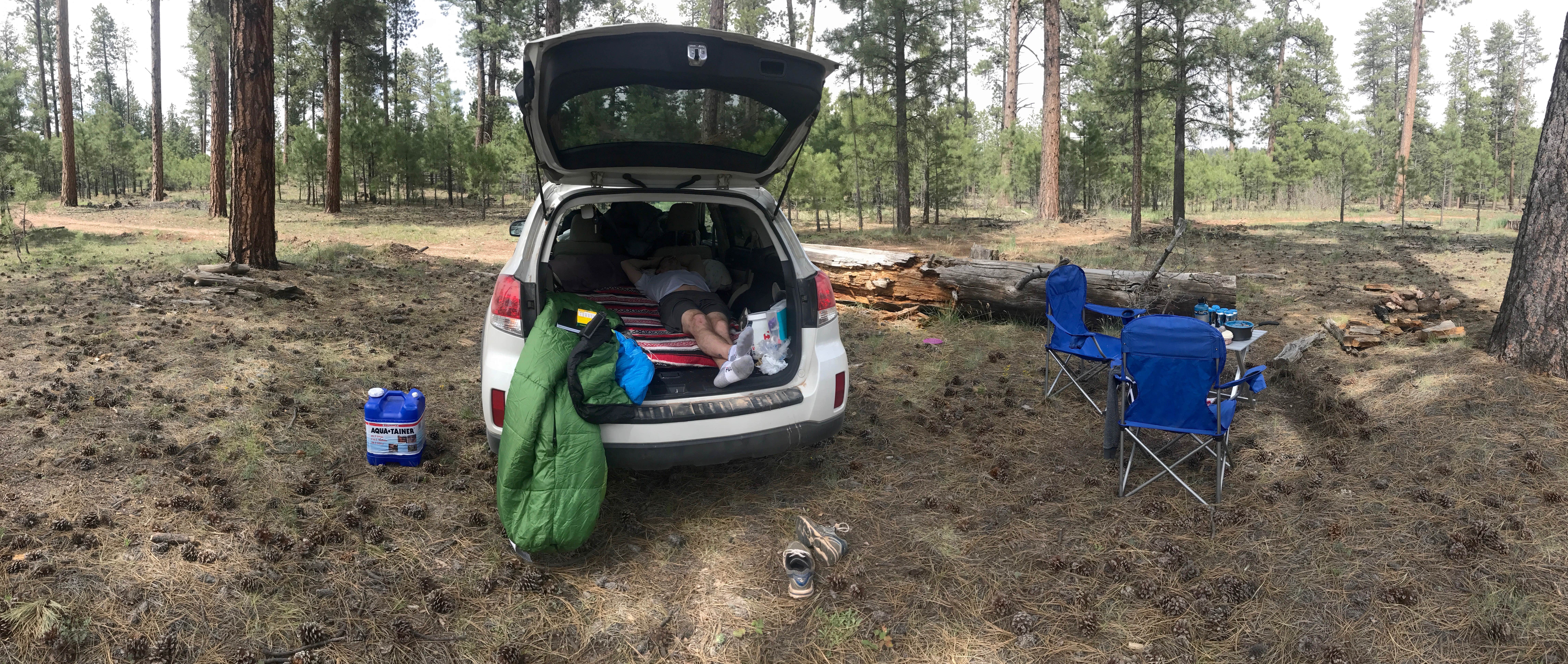 Camper submitted image from Jacob Lake Campground - Kaibab National Forest - 3
