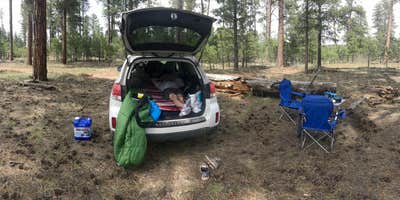 Camping