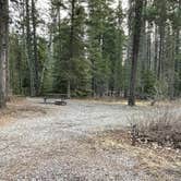 Review photo of Apgar Campground — Glacier National Park by Shana D., May 10, 2021