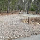 Review photo of Apgar Campground — Glacier National Park by Shana D., May 10, 2021