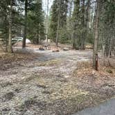 Review photo of Apgar Campground — Glacier National Park by Shana D., May 10, 2021