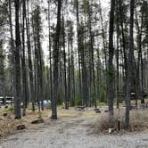 Review photo of Apgar Campground — Glacier National Park by Shana D., May 10, 2021