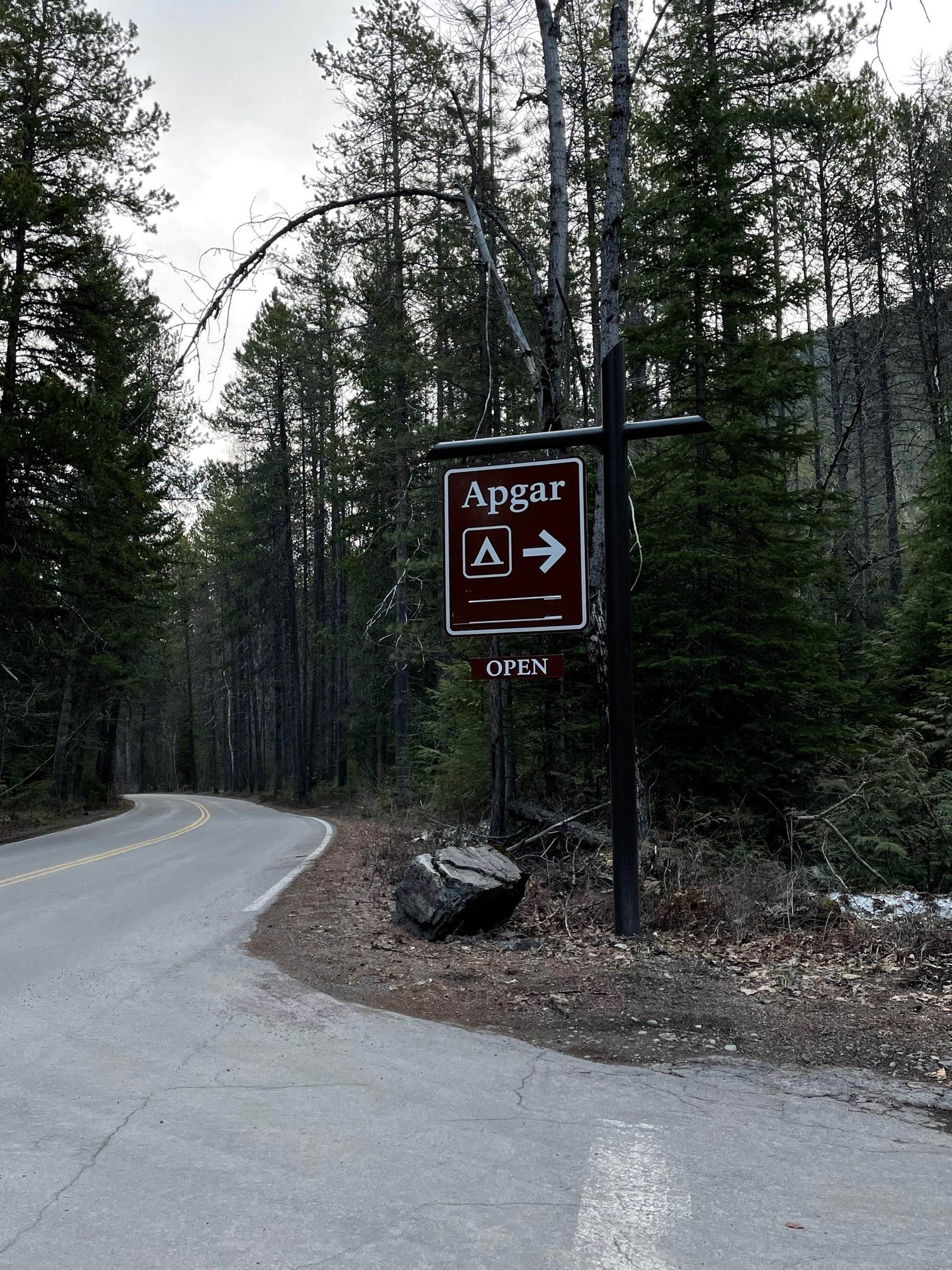 Camper submitted image from Apgar Group Sites — Glacier National Park - 2