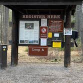 Review photo of Apgar Group Sites — Glacier National Park by Shana D., May 10, 2021