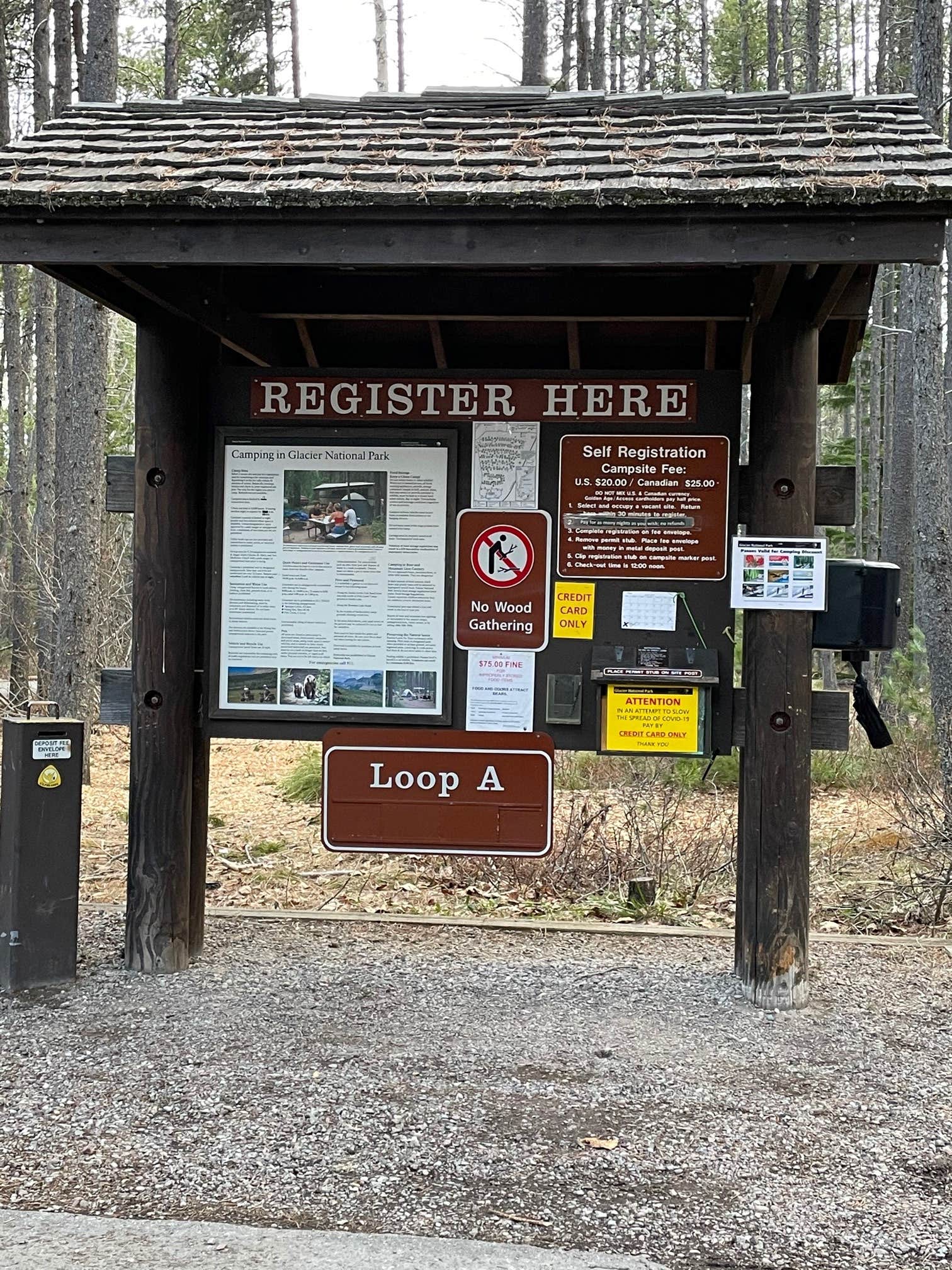 Camper submitted image from Apgar Group Sites — Glacier National Park - 3