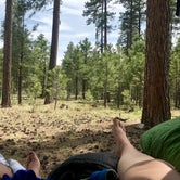 Review photo of Jacob Lake Recreation Area by Kelsey L., June 2, 2018
