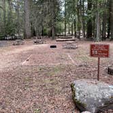 Review photo of Sprague Creek Campground — Glacier National Park by Shana D., May 10, 2021