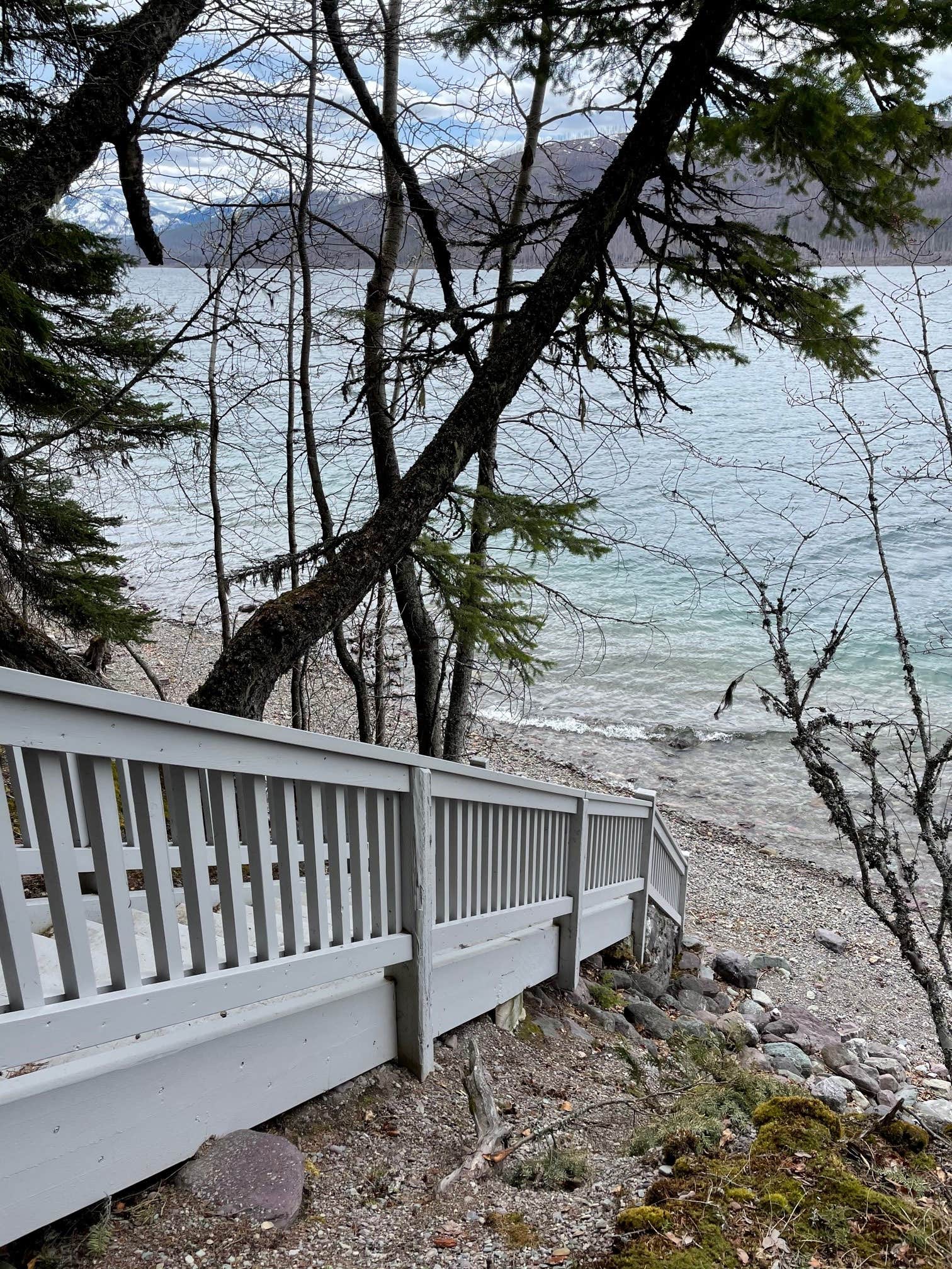 Sprague Creek Campground The Dyrt