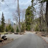 Review photo of Sprague Creek Campground — Glacier National Park by Shana D., May 10, 2021