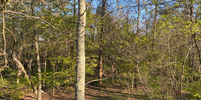 Camper submitted image from Cherokee Campground