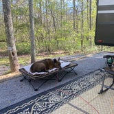 Review photo of Cherokee Campground by camp W., May 10, 2021