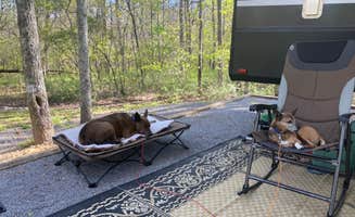 camp W.'s photo of camping with pets at Cherokee Campground near Baldwin, GA