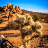 Review photo of Jumbo Rocks Campground — Joshua Tree National Park by Darrin L., July 14, 2016