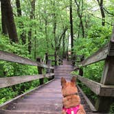 Review photo of Lowden State Park Campground by Art S., June 2, 2018