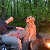 Review photo of Cedars of Lebanon State Park Campground by Elena , May 10, 2021