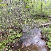 Review photo of Fall Creek Falls State Park Campground by Brennan M., May 10, 2021