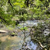 Review photo of Fall Creek Falls State Park Campground by Brennan M., May 10, 2021