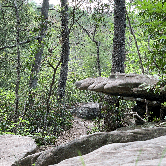 Review photo of Fall Creek Falls State Park Campground by Elena , May 10, 2021