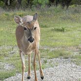 Review photo of Possum Kingdom State Park Campground by Spencer R., May 10, 2021