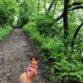 Review photo of Lowden State Park Campground by Art S., June 2, 2018