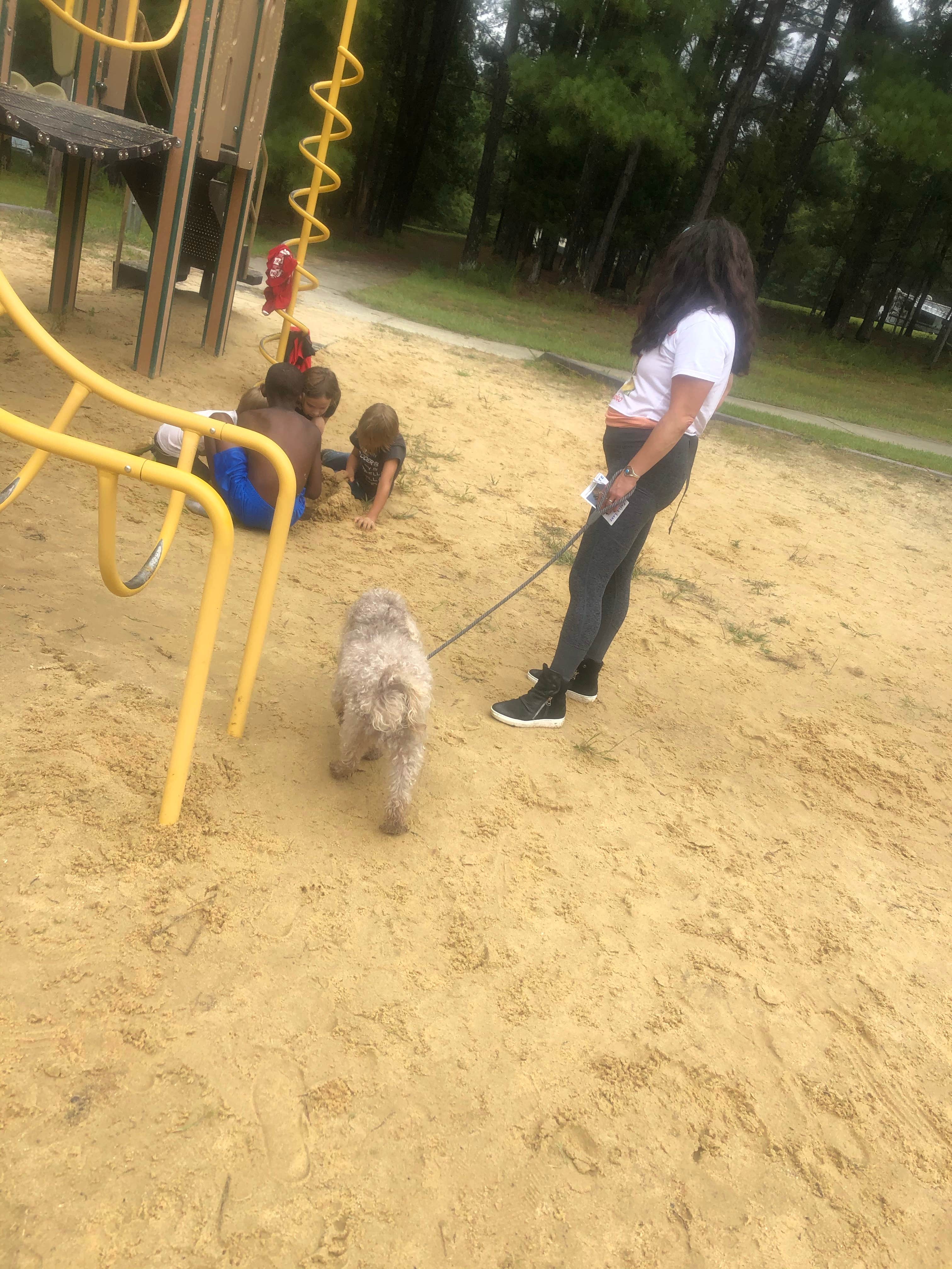 amanda L.'s photo of camping with pets at Holly Point — Falls Lake State Recreation Area near Chapel Hill, NC
