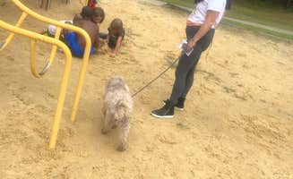 amanda L.'s photo of camping with pets at Holly Point — Falls Lake State Recreation Area near Pittsboro, NC