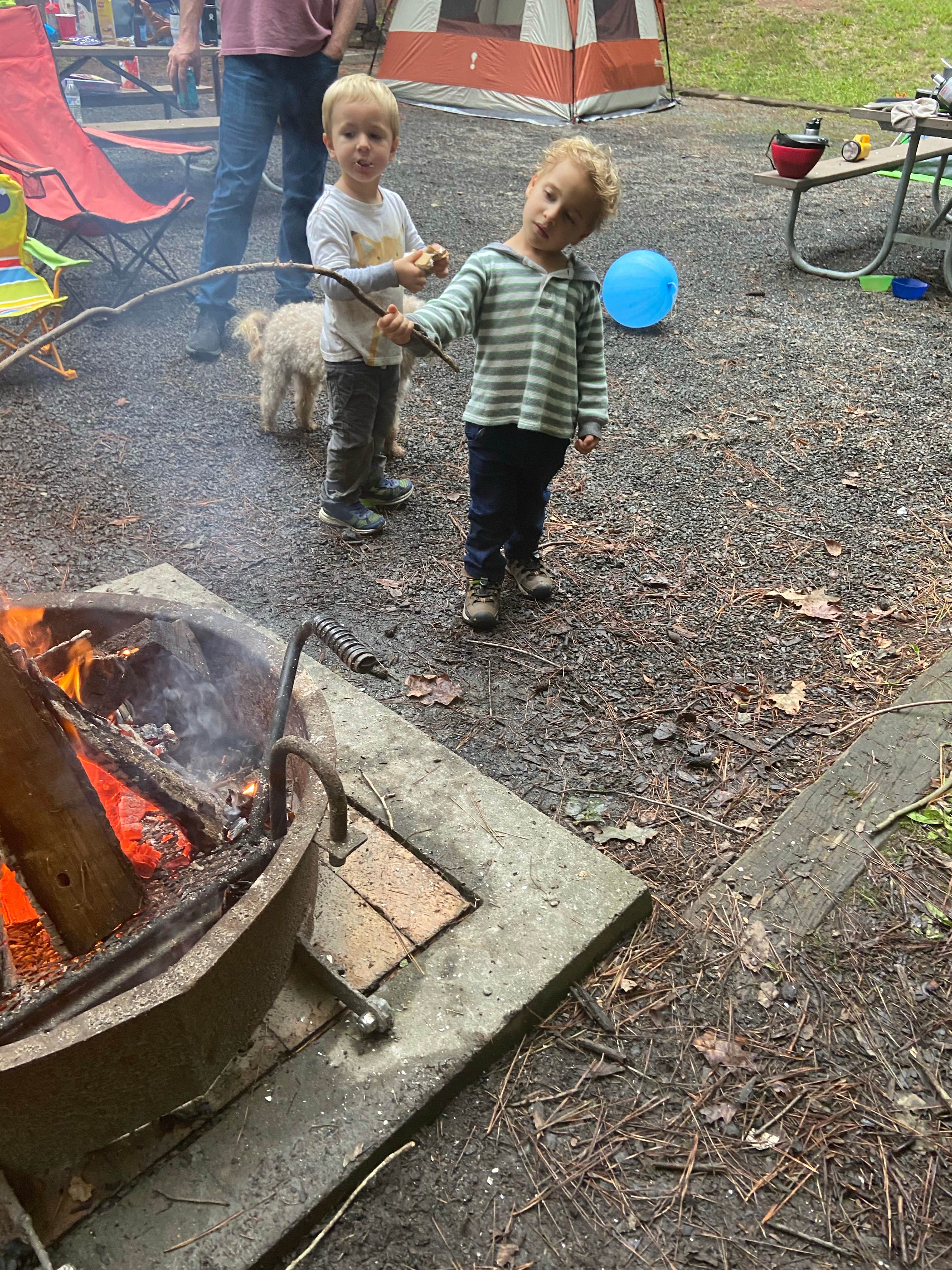 amanda L.'s photo of camping with pets at Holly Point — Falls Lake State Recreation Area near Wendell, NC