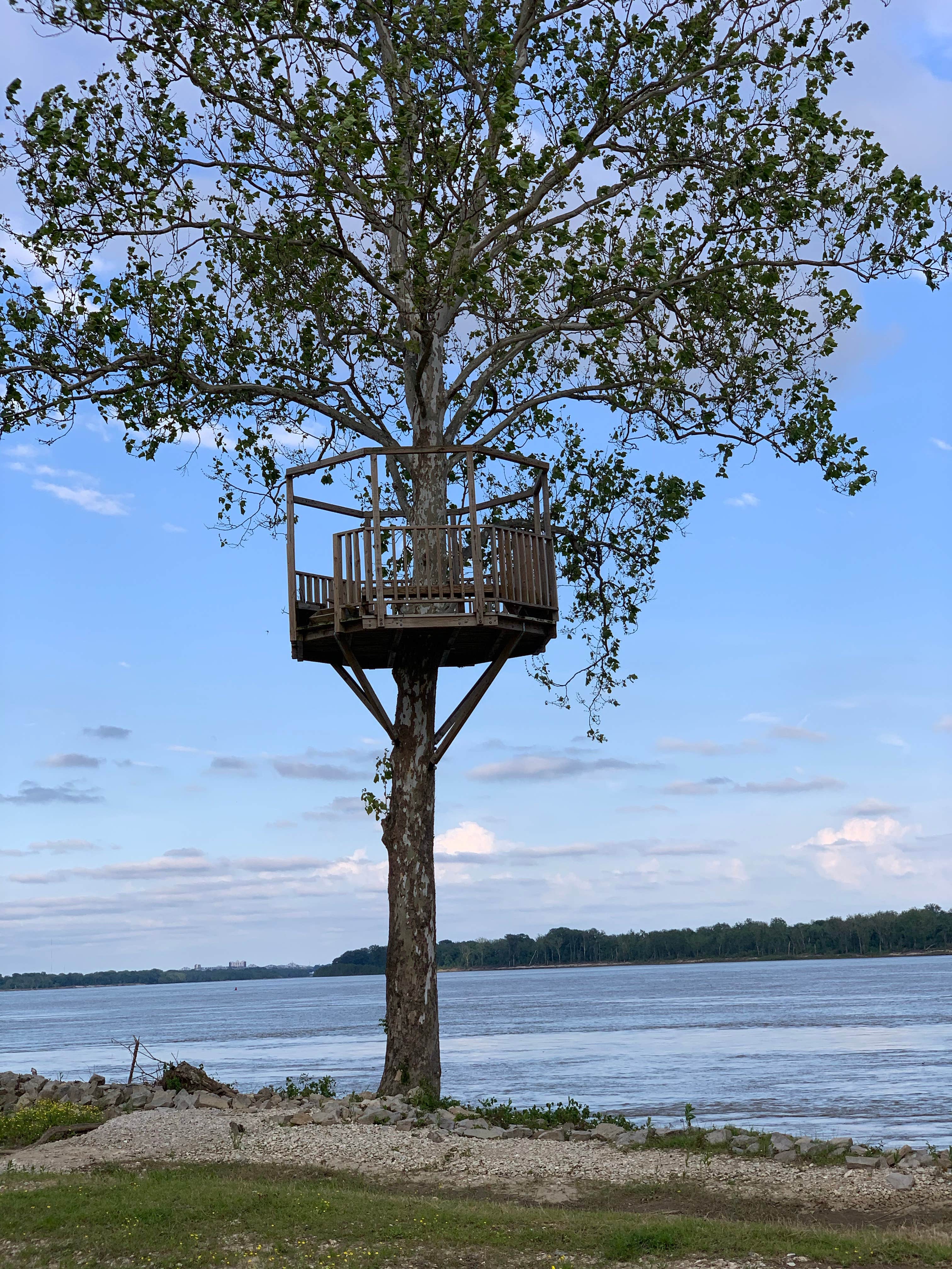 Lynn C.'s photo of a cabin at Tom Sawyer's RV Park near Olive Branch, MS